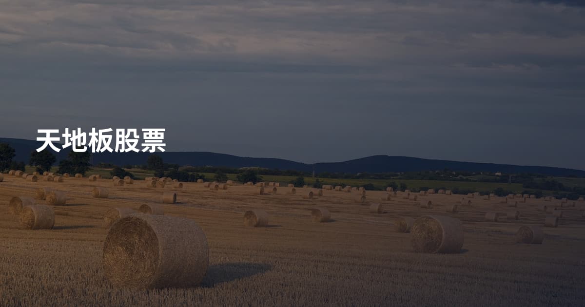 天地板股票