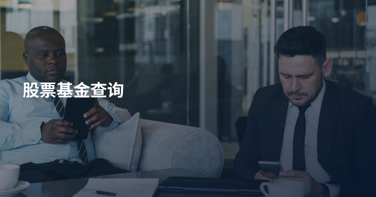 股票基金查询