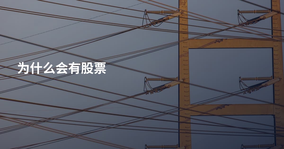 为什么会有股票