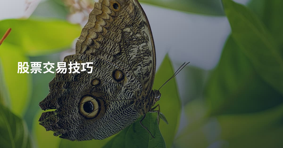 股票交易技巧