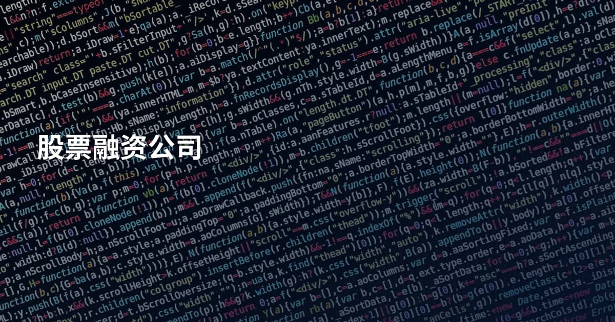 股票融资公司