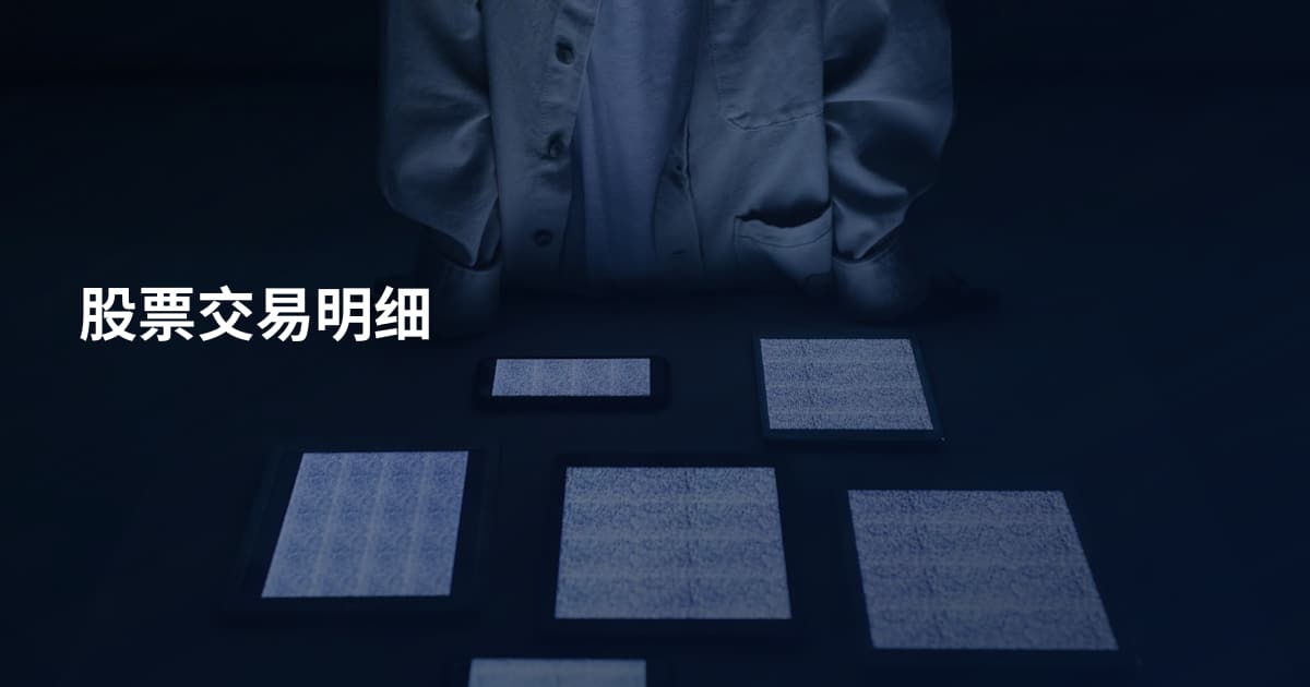 股票交易明细