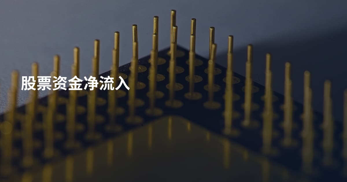 股票资金净流入