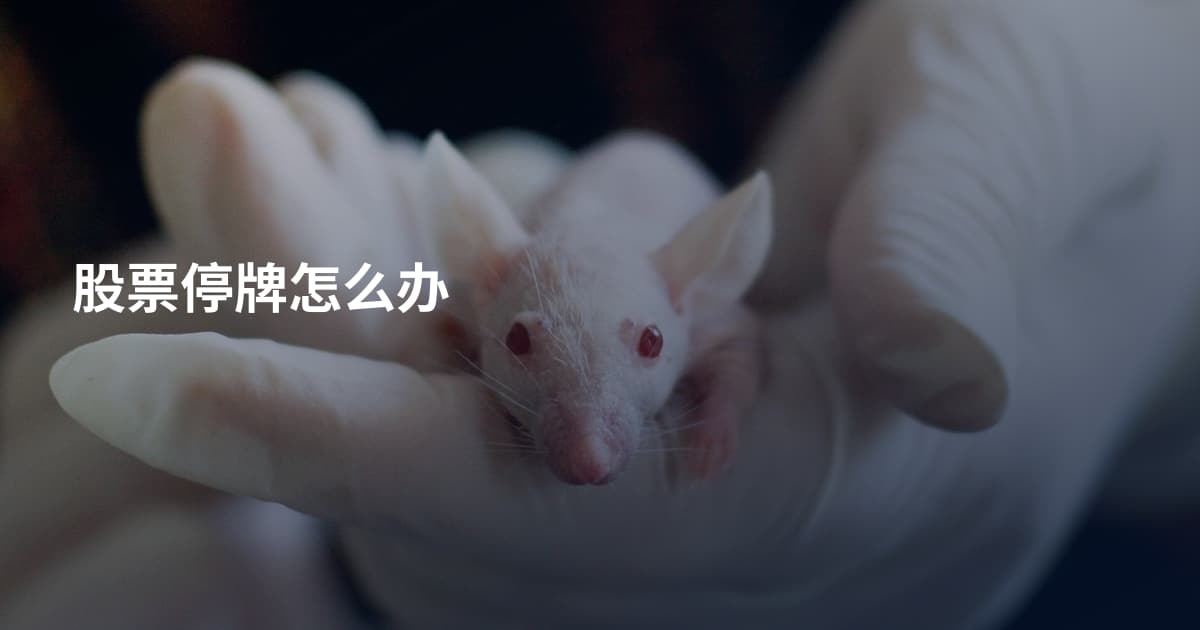 股票停牌怎么办