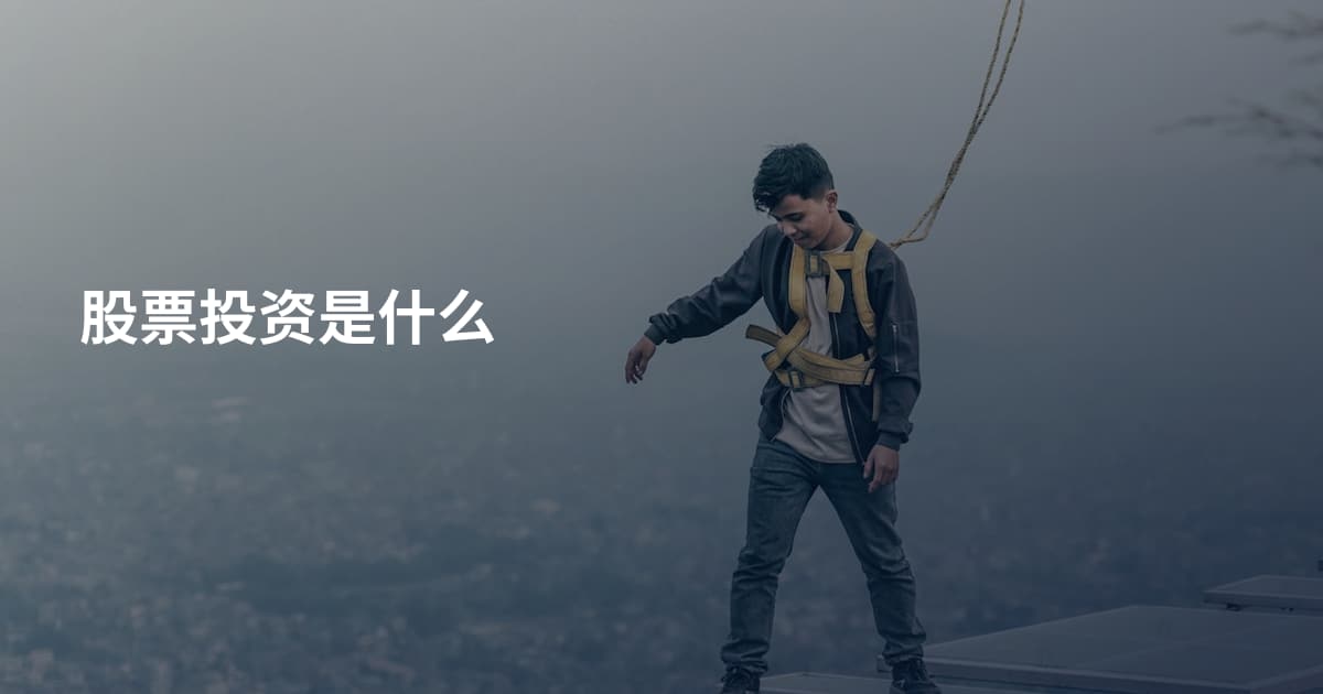 股票投资是什么