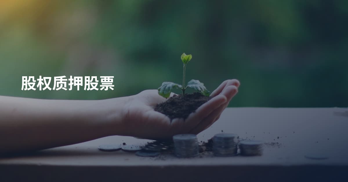 股权质押股票