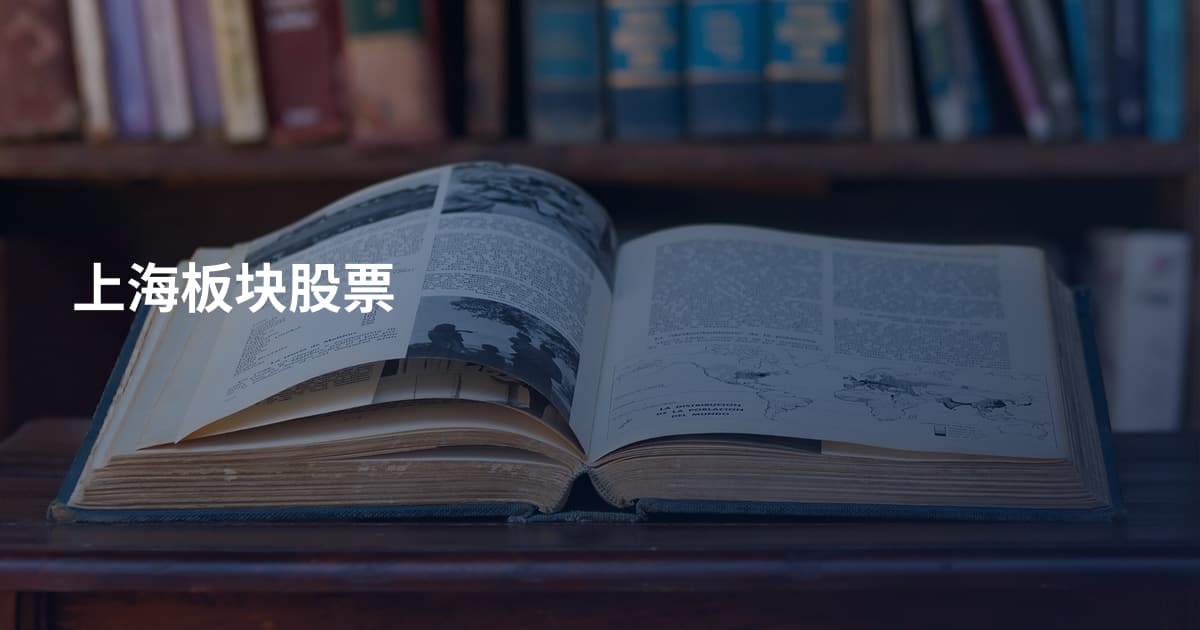 上海板块股票