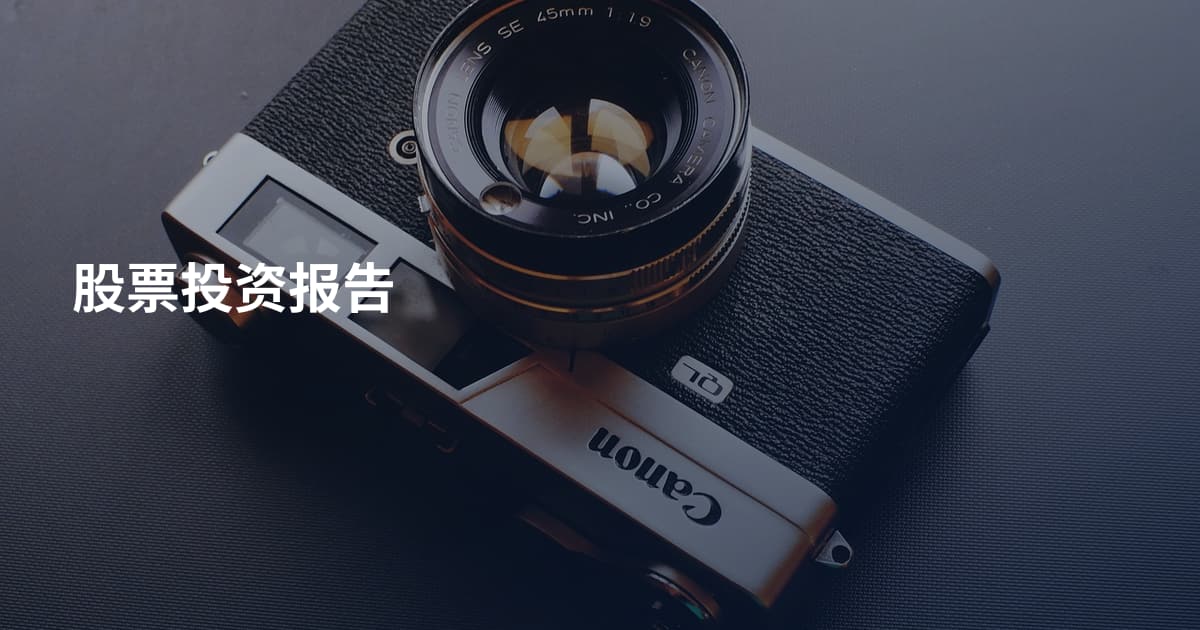股票投资报告