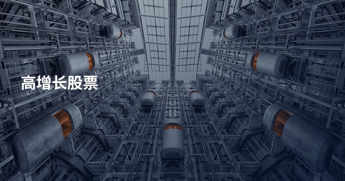 高增长股票