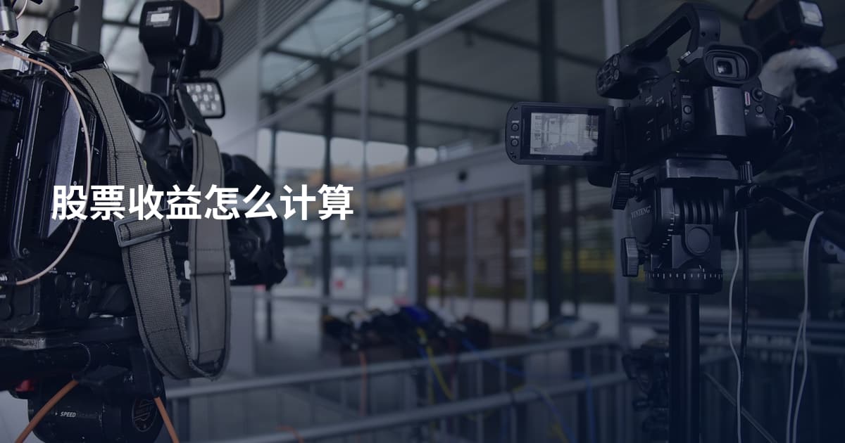 股票收益怎么计算
