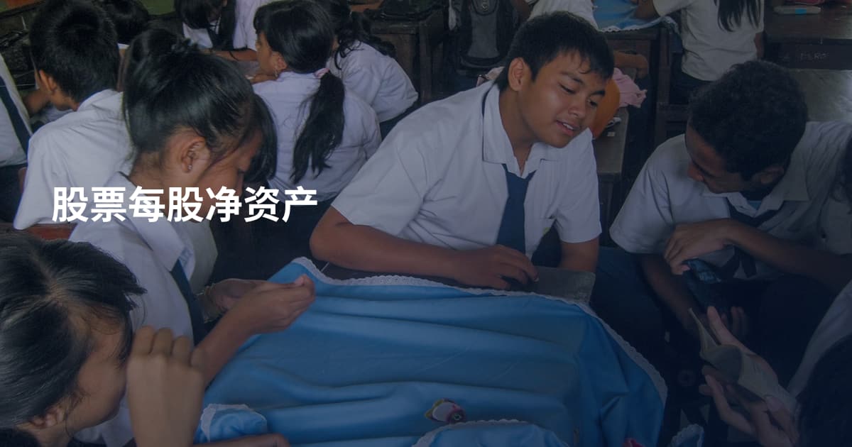 股票每股净资产