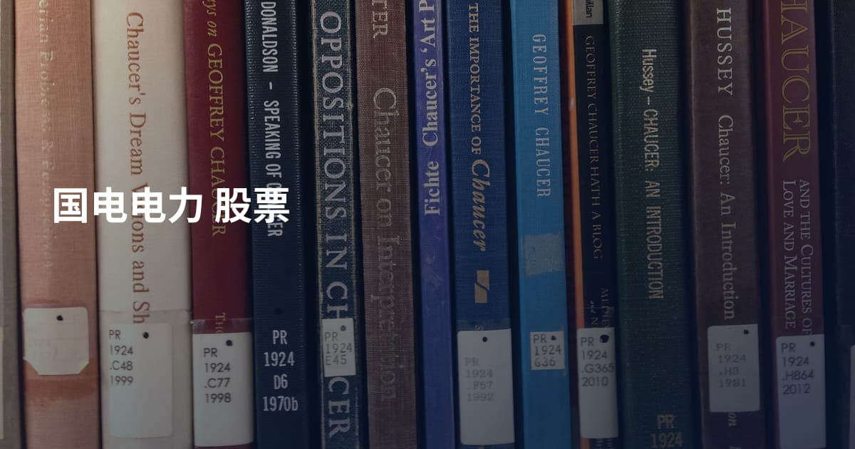 国电电力 股票