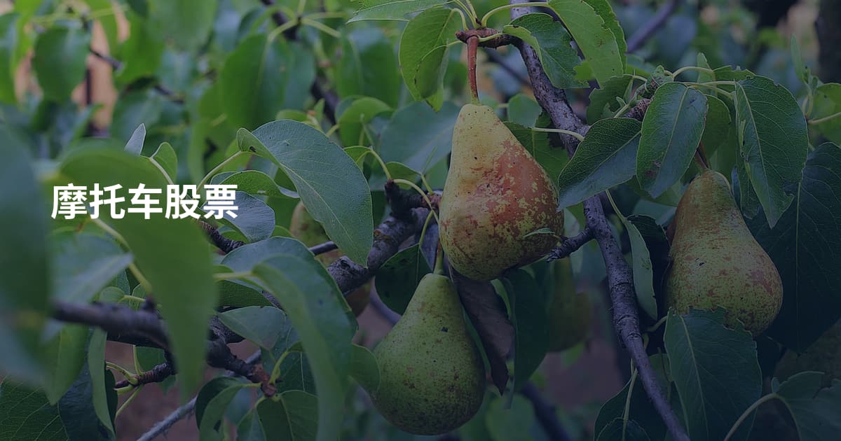 摩托车股票
