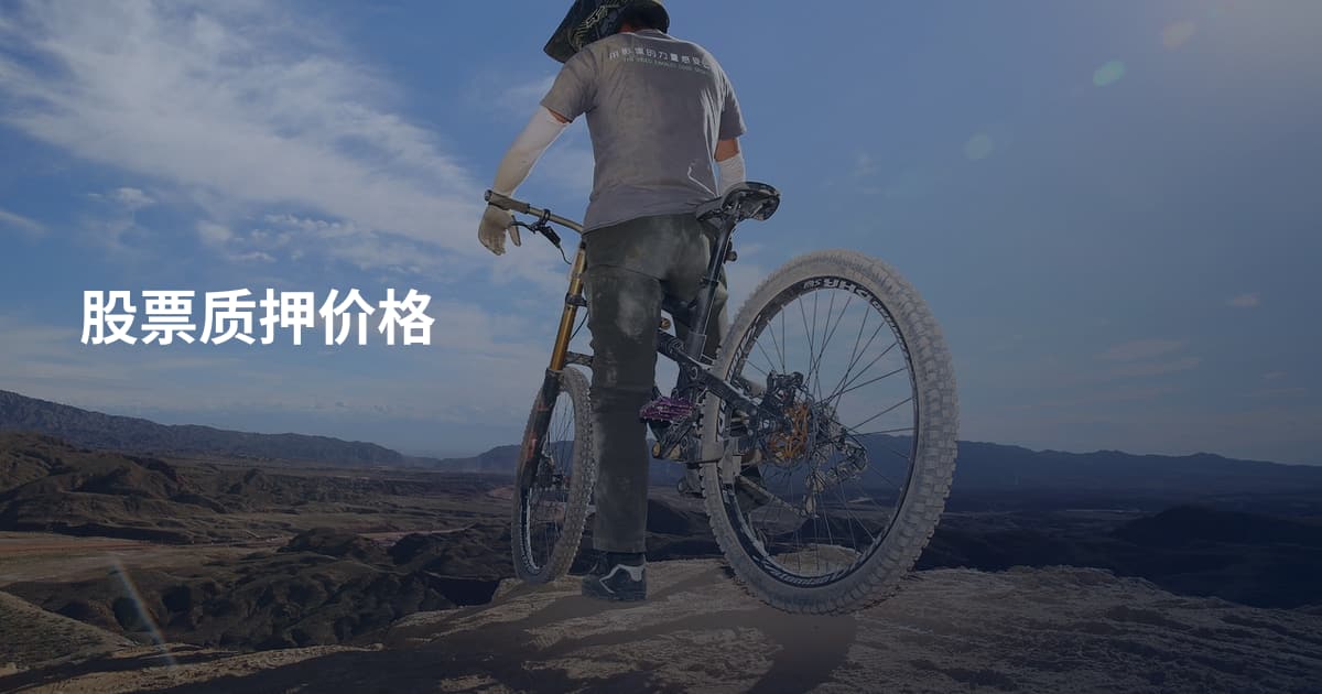 股票质押价格