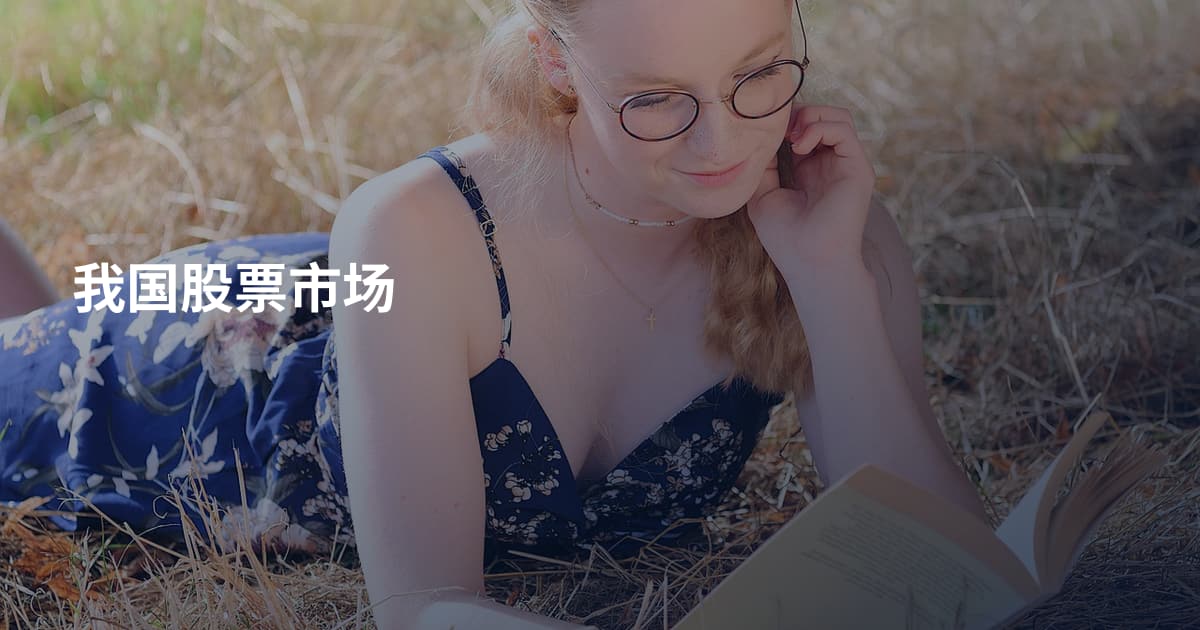 我国股票市场