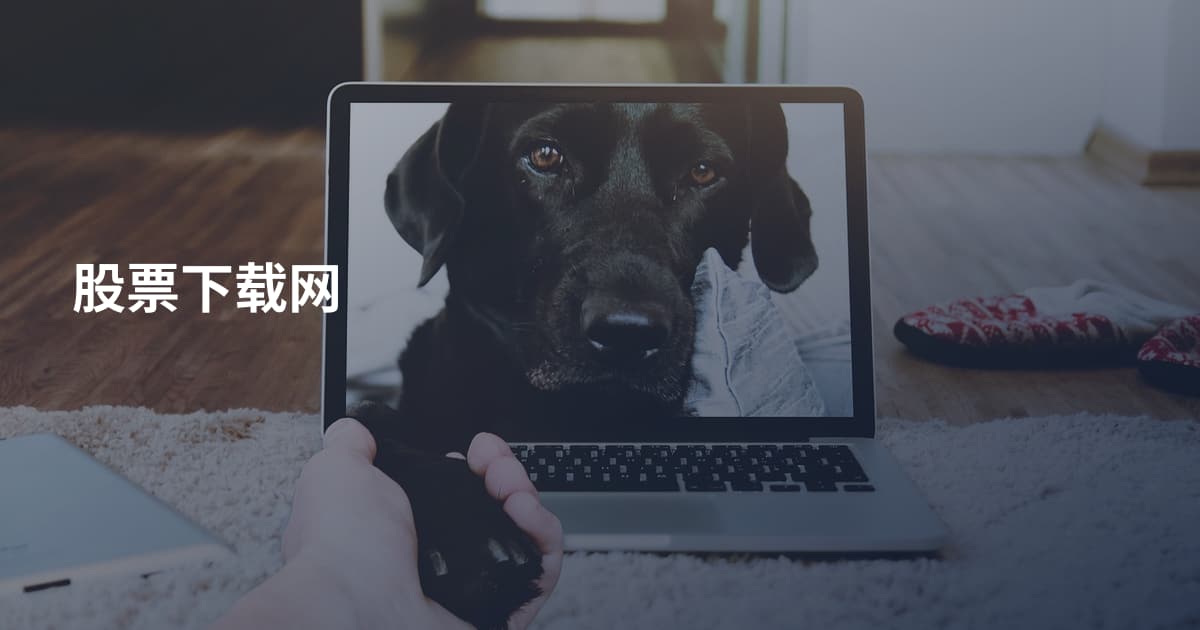 股票下载网