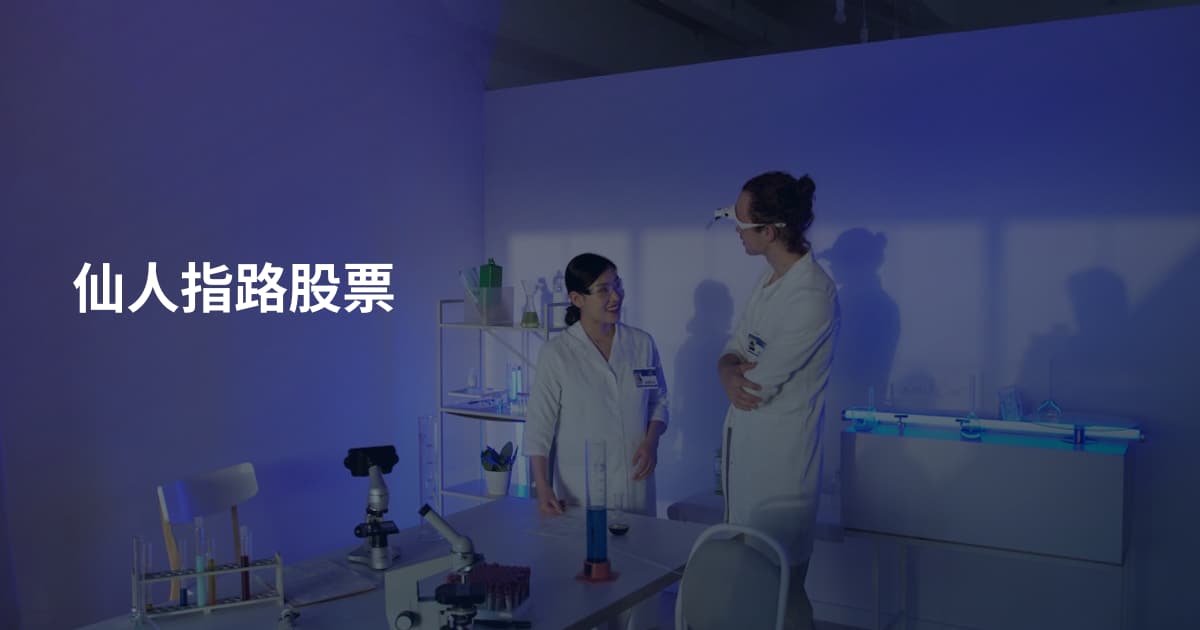 仙人指路股票