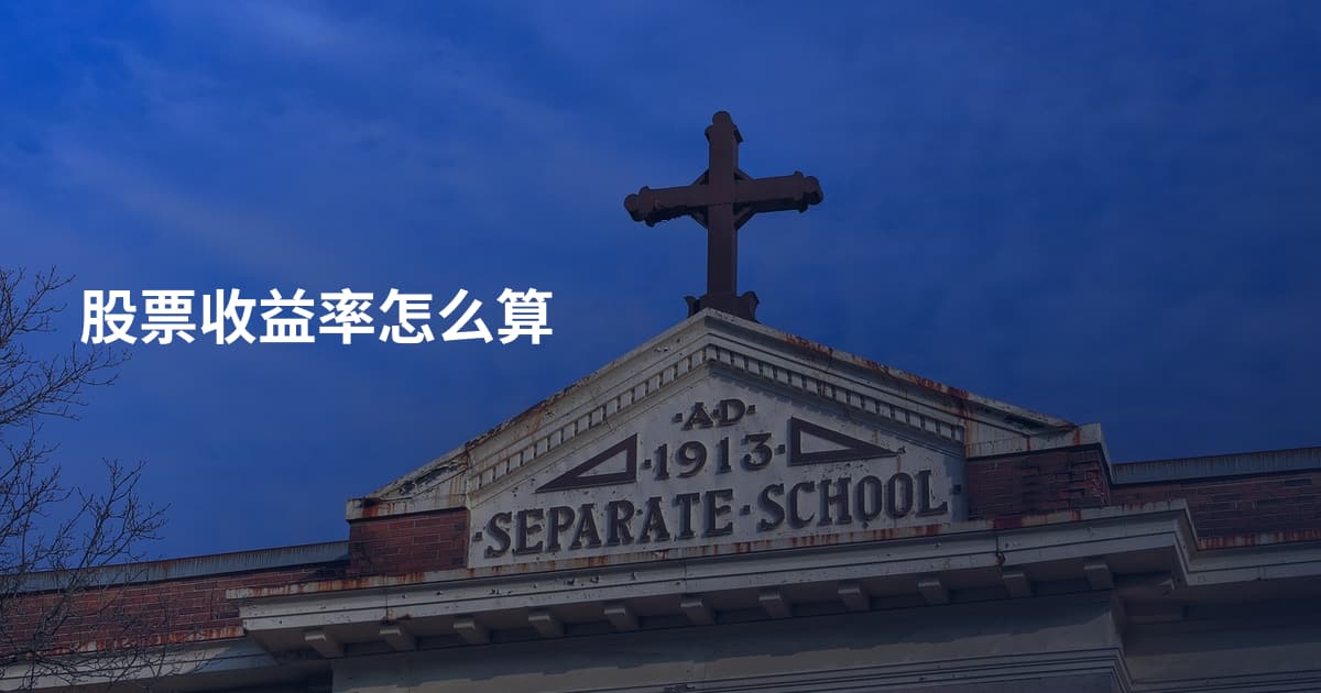 股票收益率怎么算