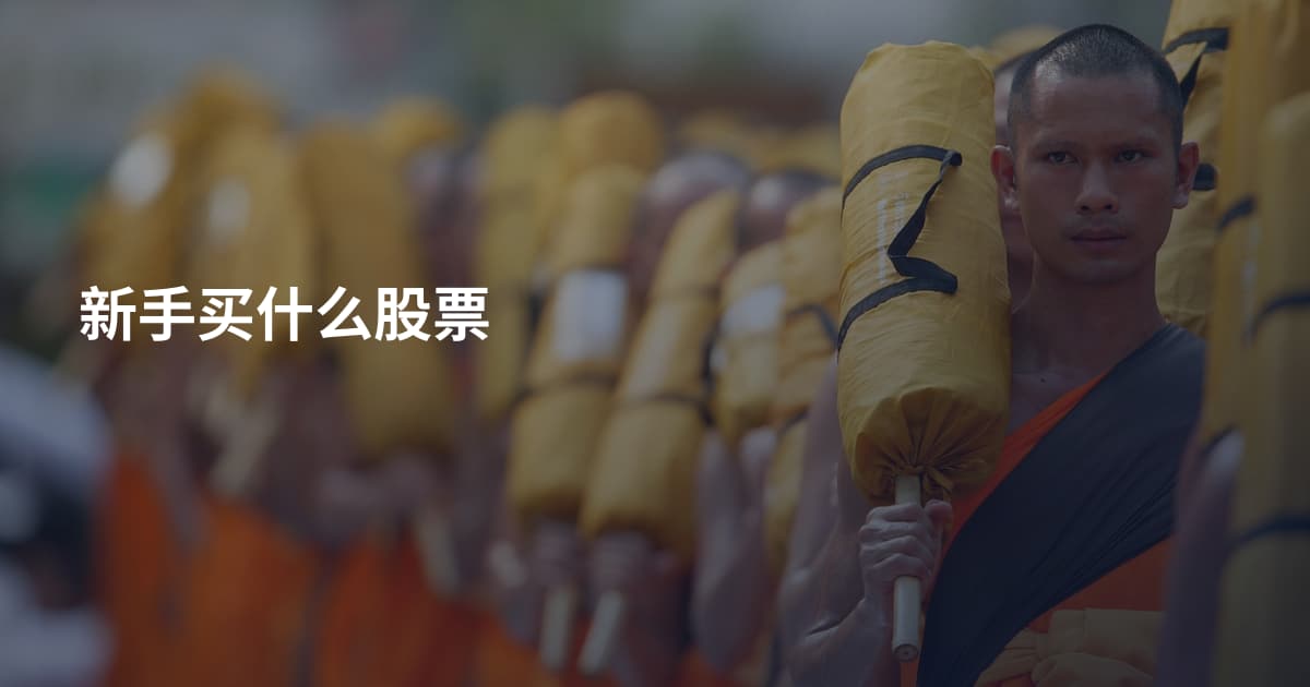 新手买什么股票