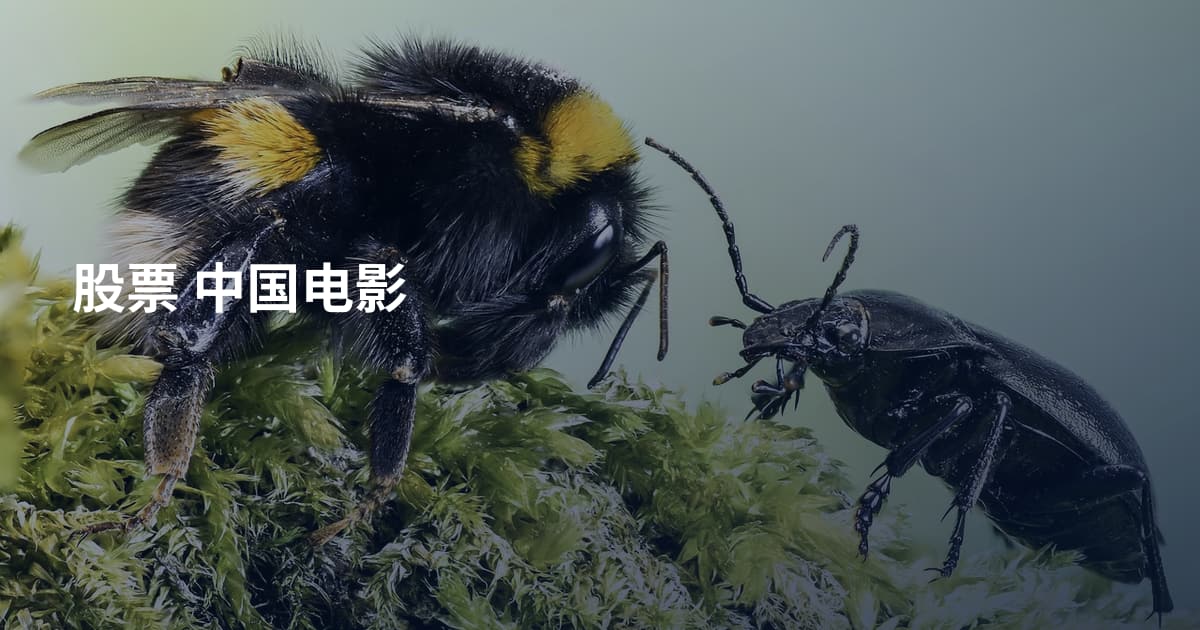 股票 中国电影