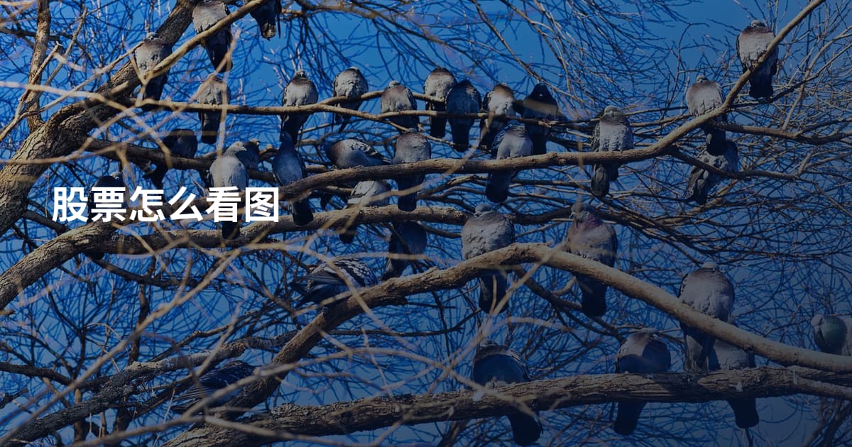 股票怎么看图