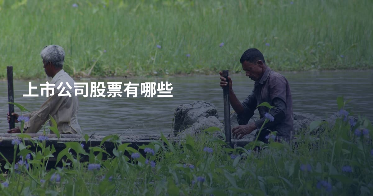 上市公司股票有哪些