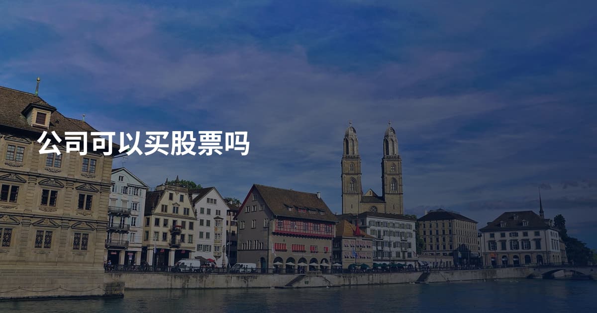 公司可以买股票吗