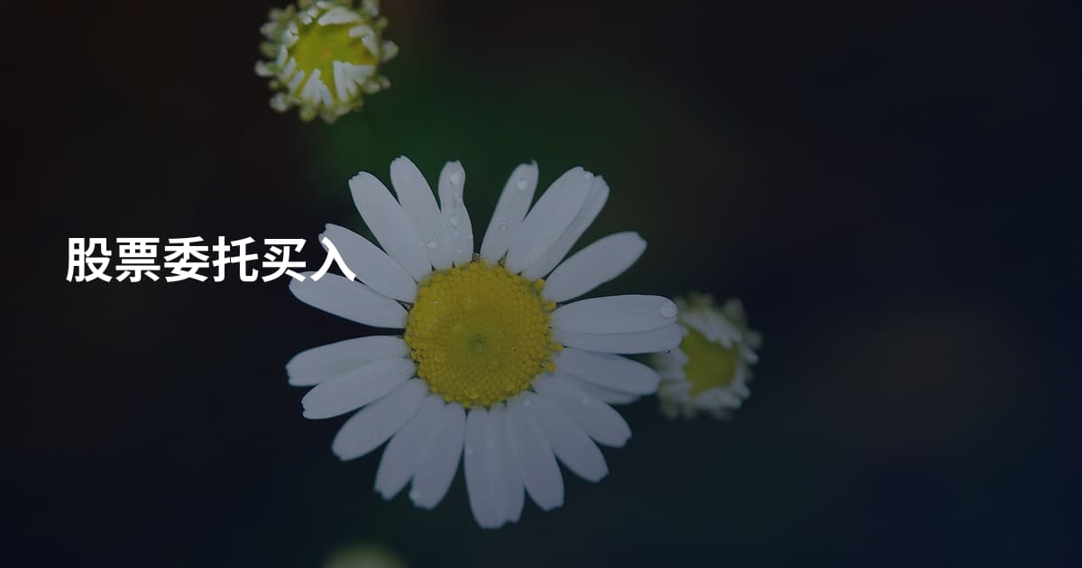 股票委托买入