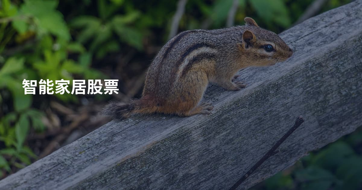 智能家居股票