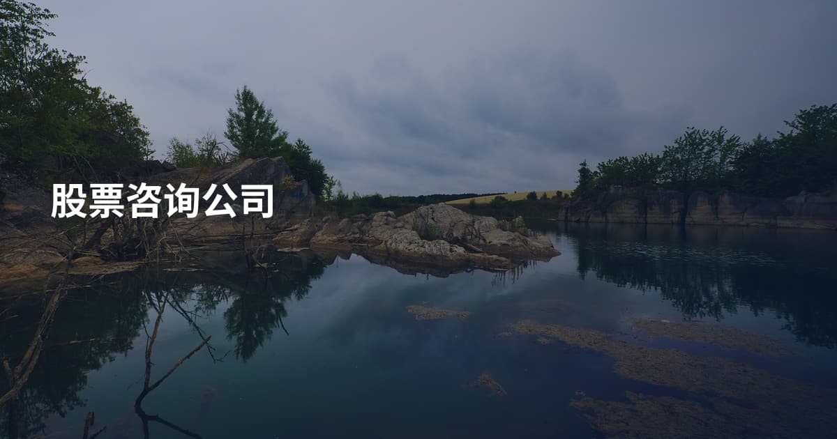 股票咨询公司