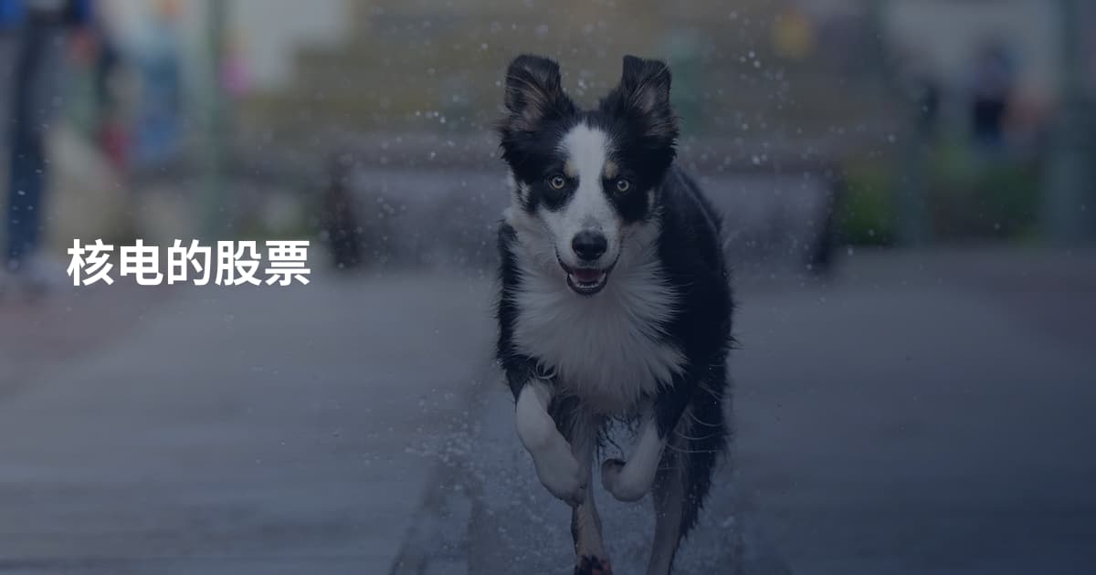 核电的股票