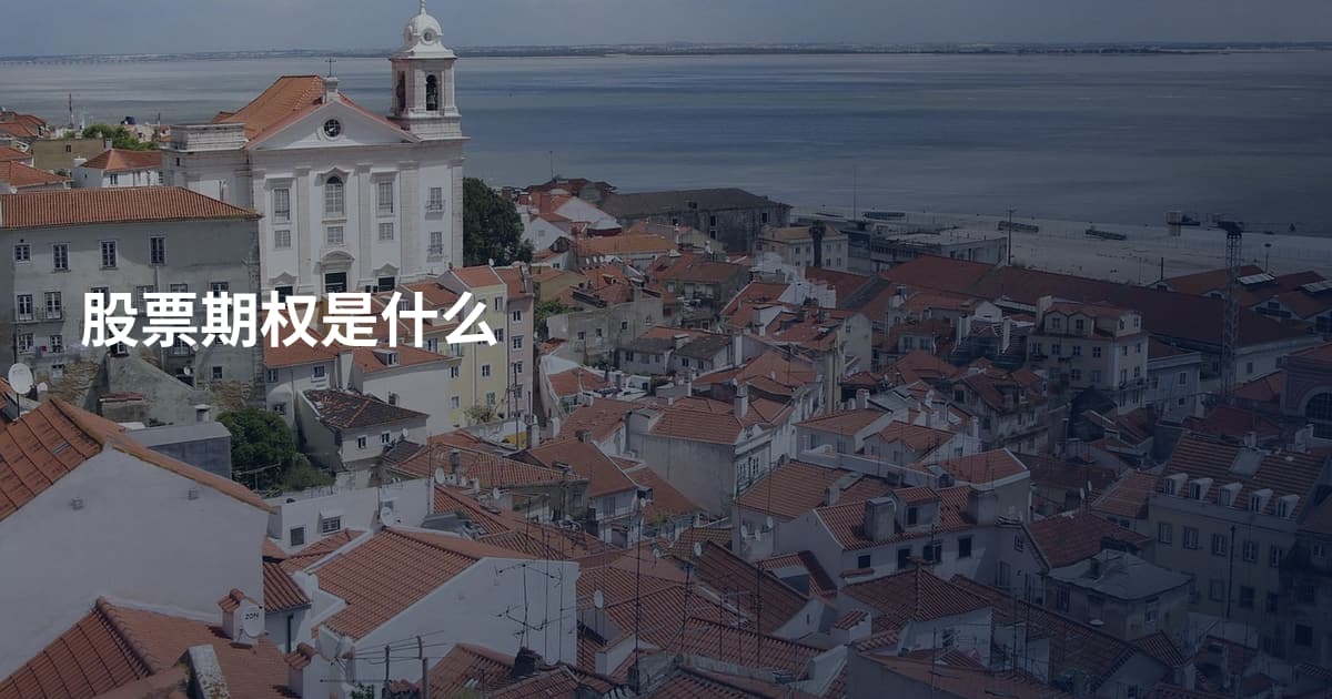股票期权是什么