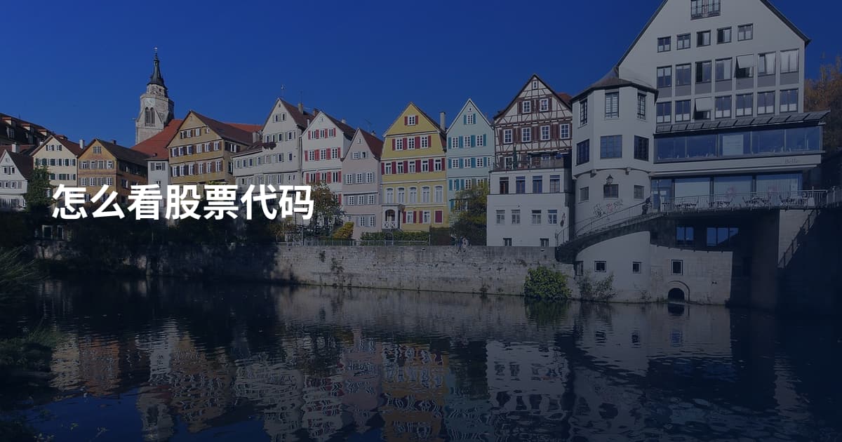 怎么看股票代码