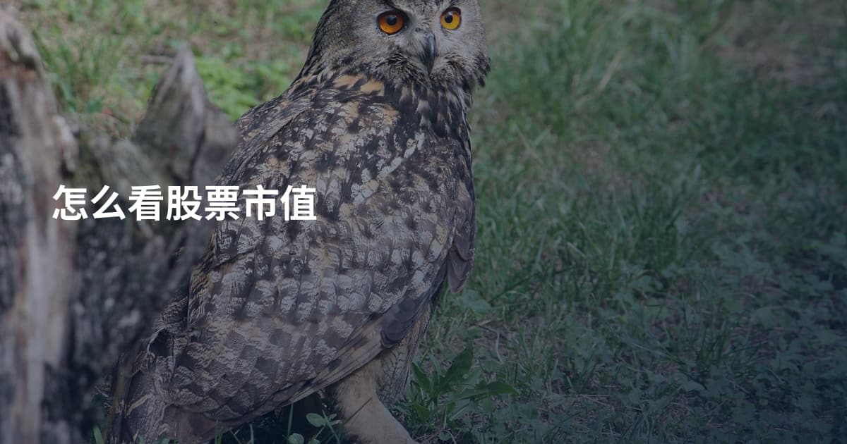 怎么看股票市值