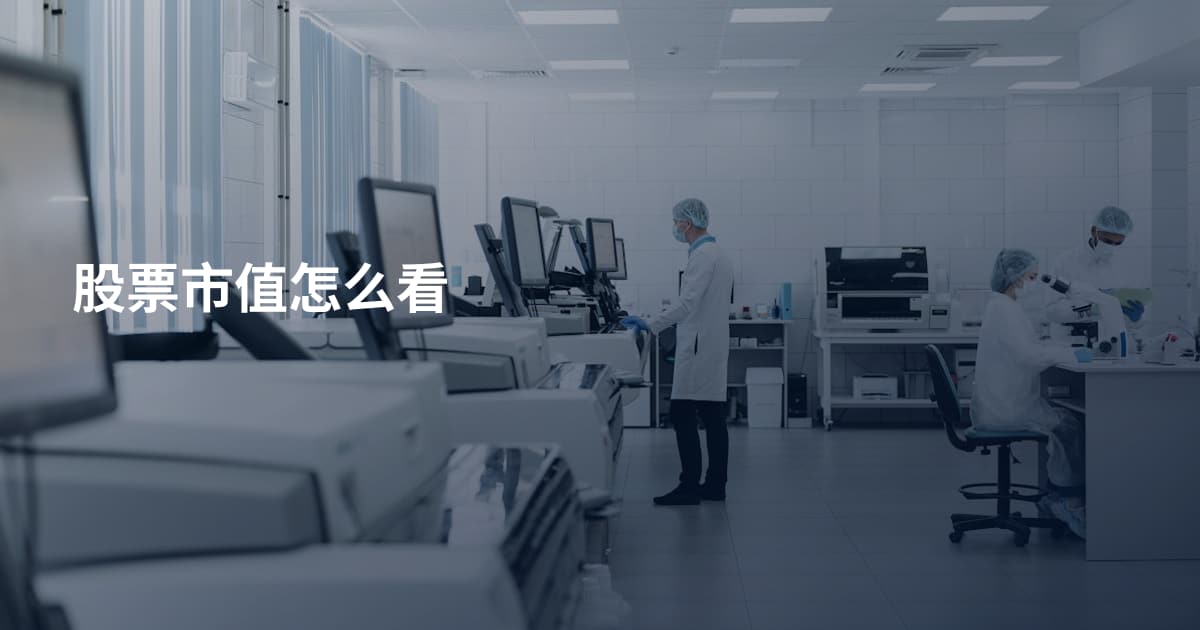 股票市值怎么看