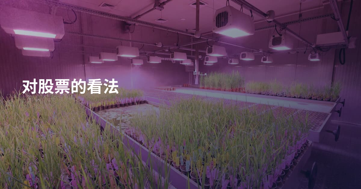 对股票的看法
