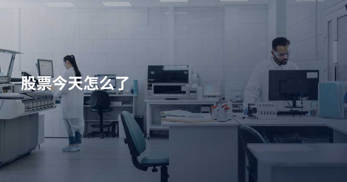 股票今天怎么了