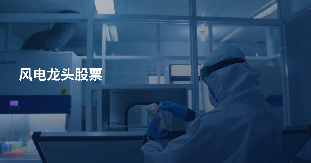 风电龙头股票