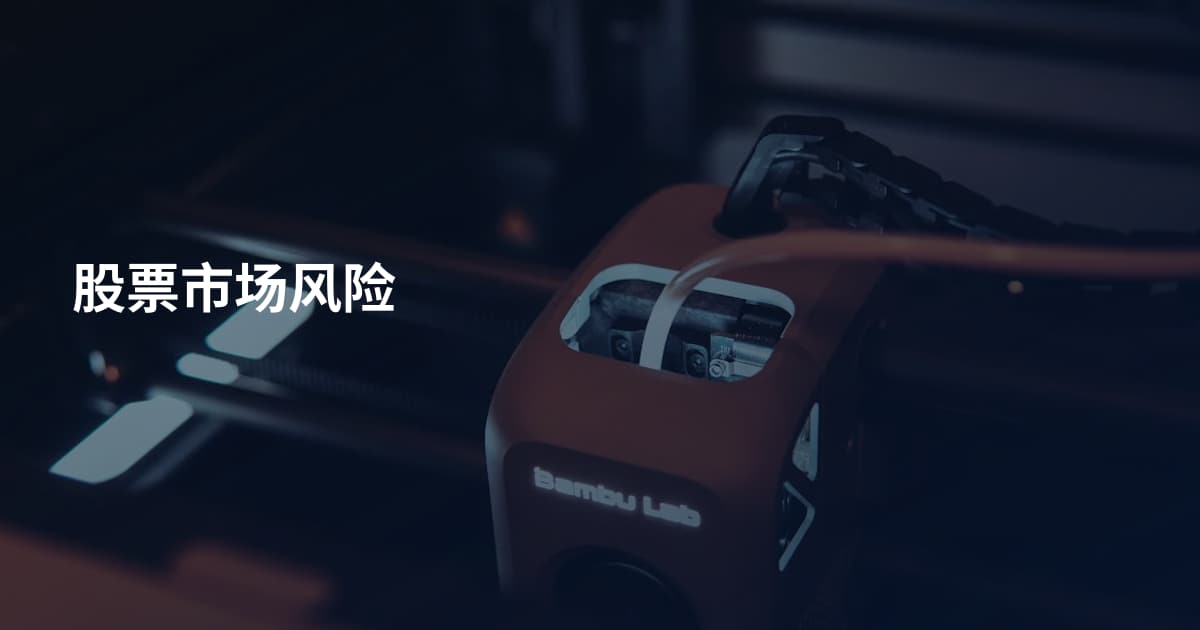 股票市场风险
