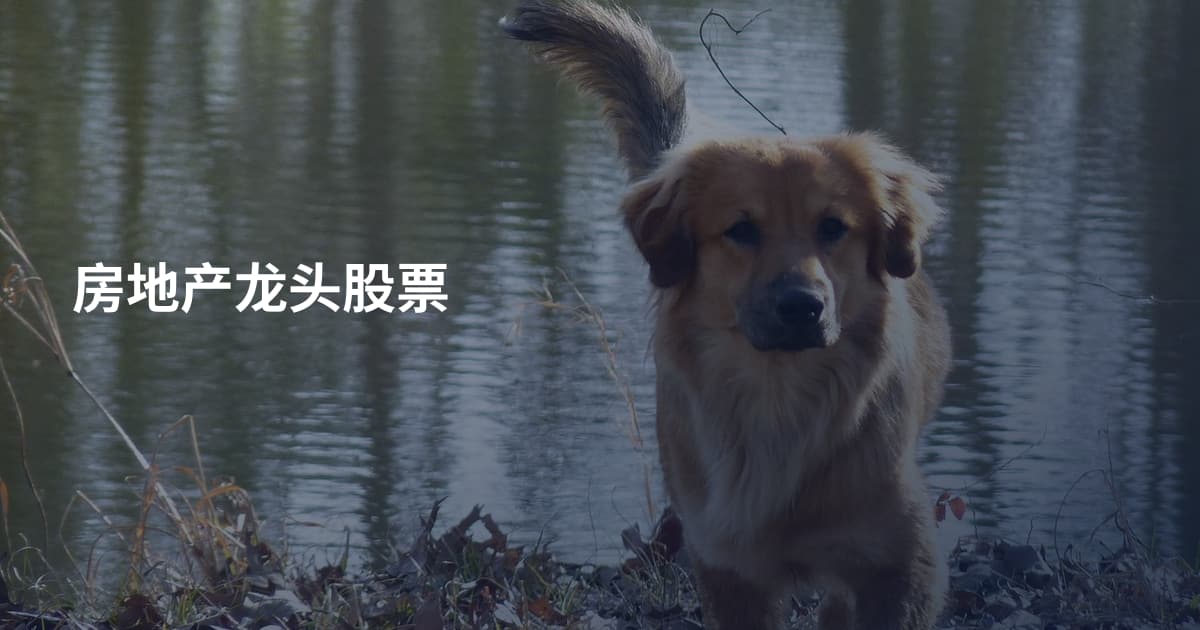 房地产龙头股票