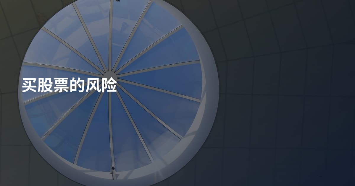 买股票的风险