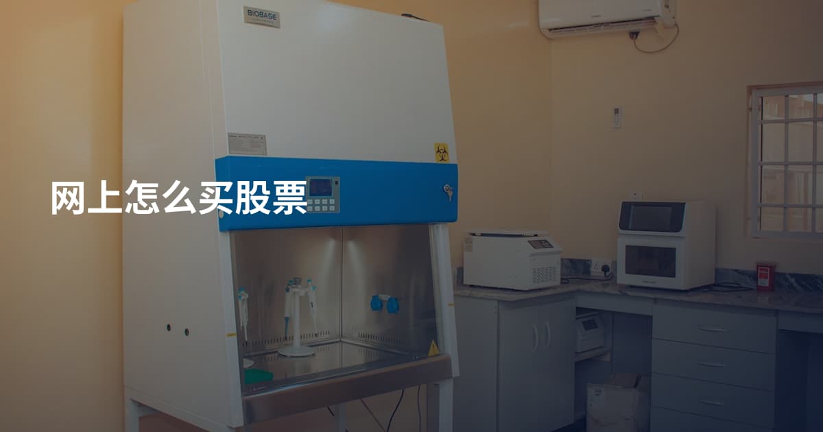 网上怎么买股票