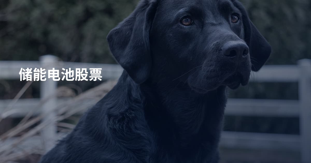 储能电池股票