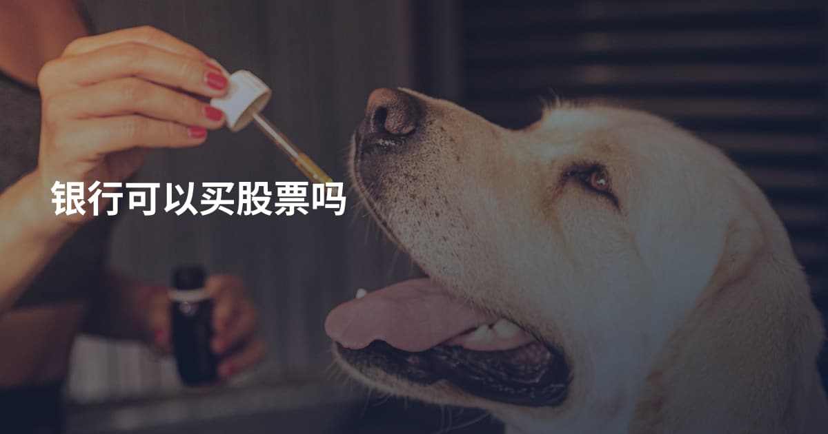 银行可以买股票吗