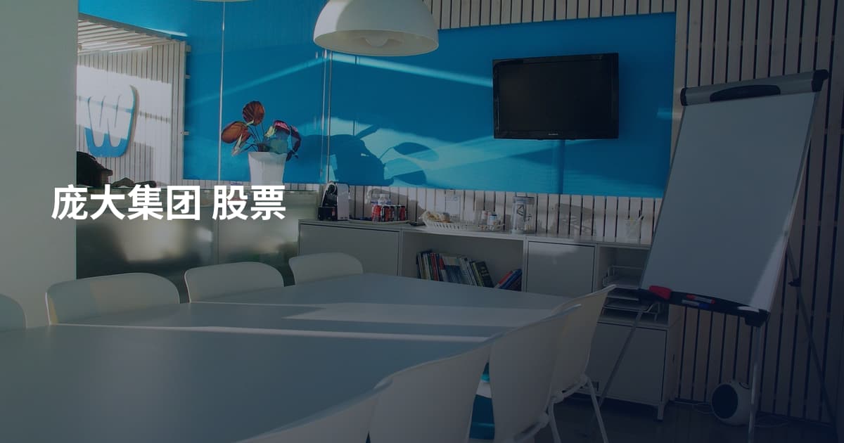 庞大集团 股票