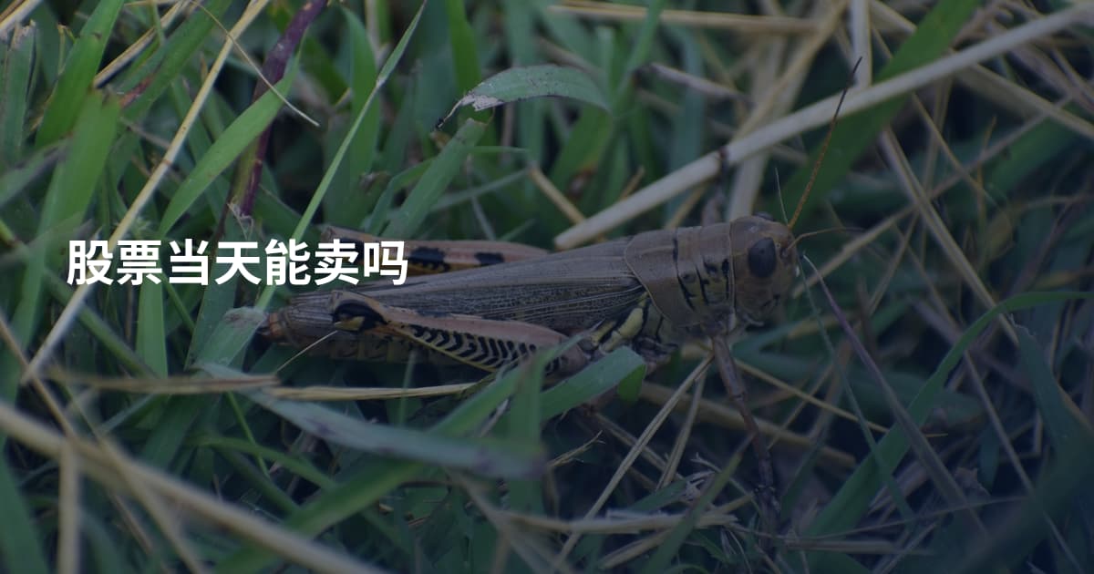 股票当天能卖吗