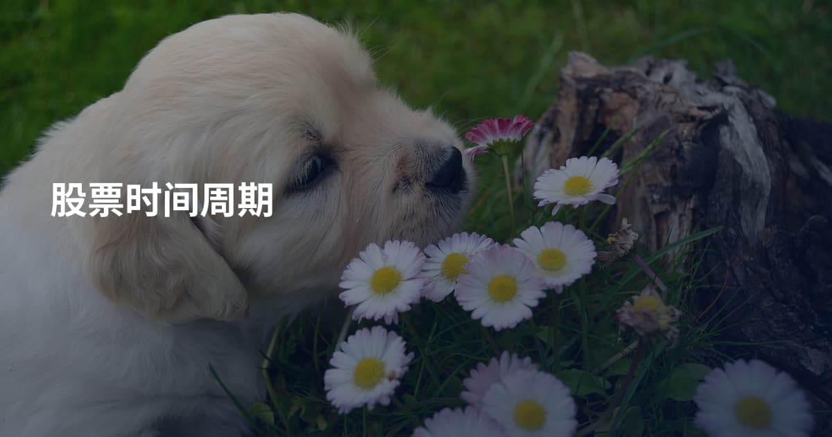 股票时间周期