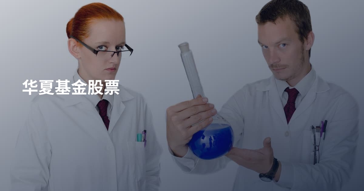 华夏基金股票