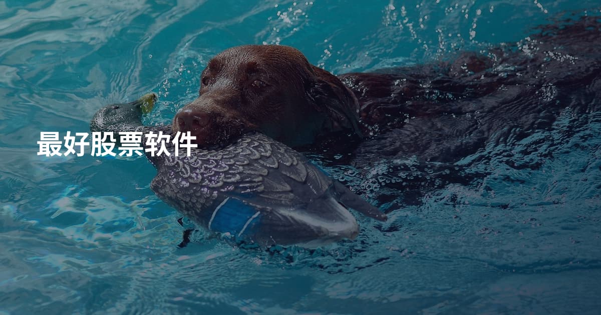 最好股票软件