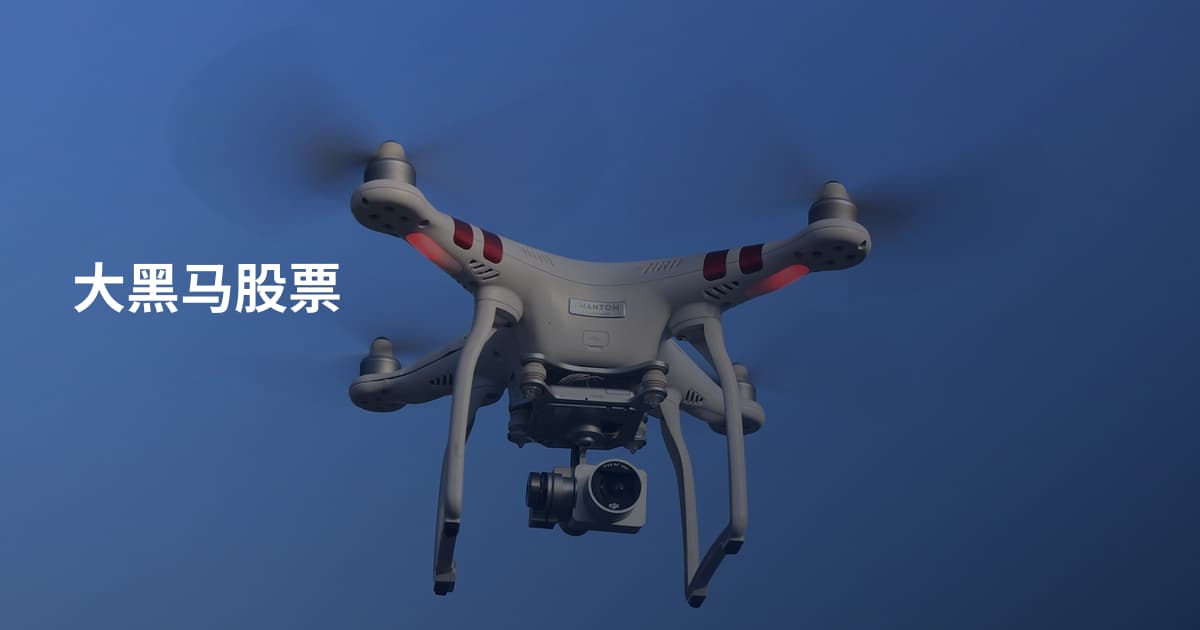 大黑马股票
